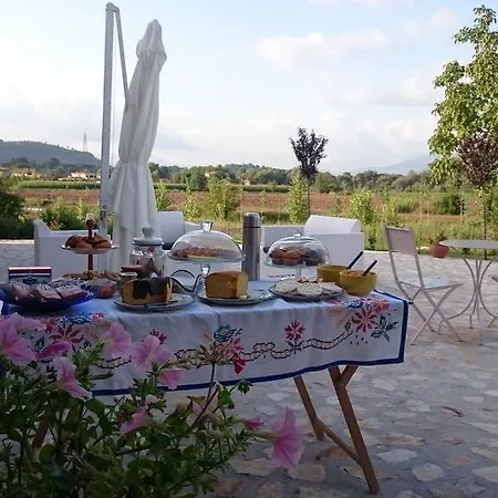 Alloggio per agriturismo Il Pioppeto Cassino